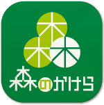 大五木材