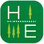 愛媛県産材